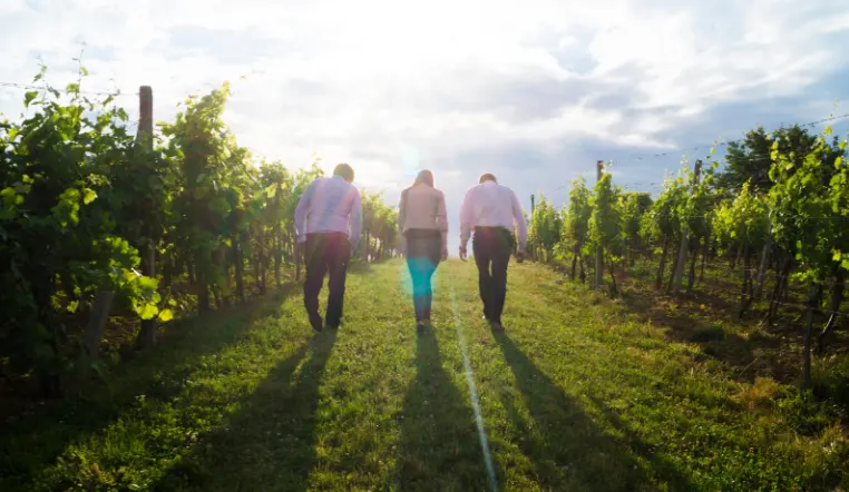 people walking in a orchard