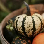 9 Fall Activities to do With Your Senior