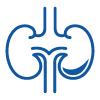 Kidney and bladder icon